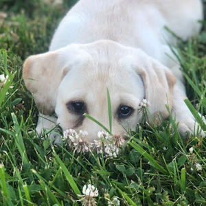 Meet your Posher, Kenley